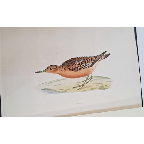 73 - Morris, Reverend F. O. 