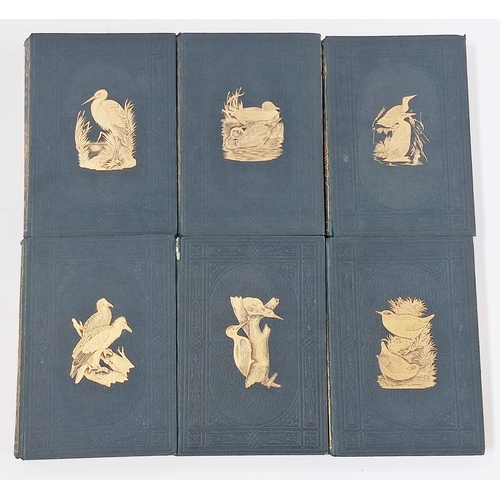 73 - Morris, Reverend F. O. 