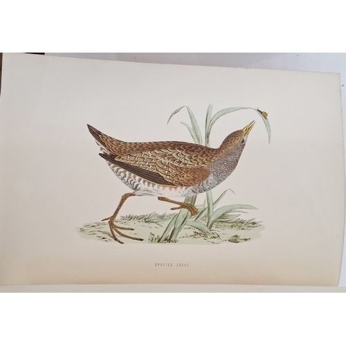 73 - Morris, Reverend F. O. 