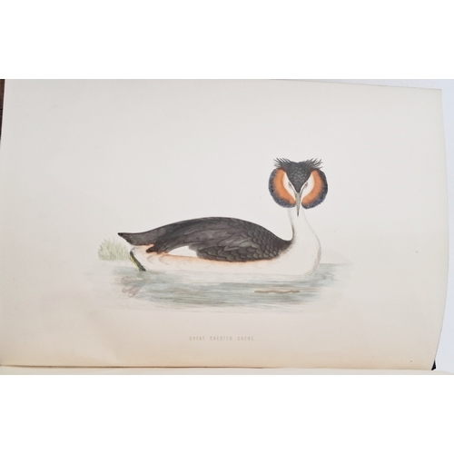 73 - Morris, Reverend F. O. 