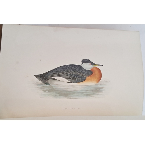 73 - Morris, Reverend F. O. 