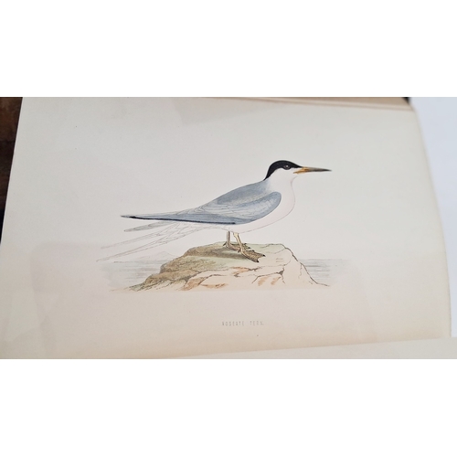 73 - Morris, Reverend F. O. 