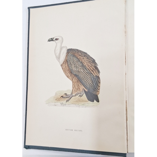 73 - Morris, Reverend F. O. 