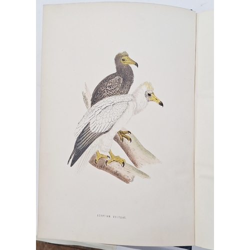 73 - Morris, Reverend F. O. 