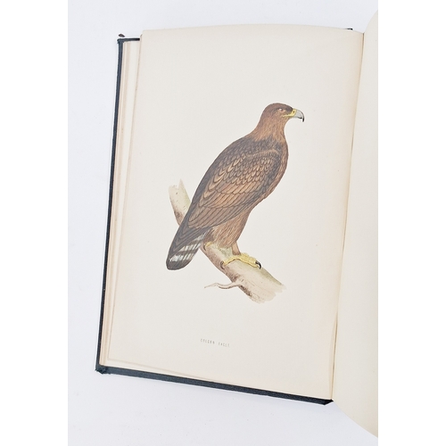 73 - Morris, Reverend F. O. 