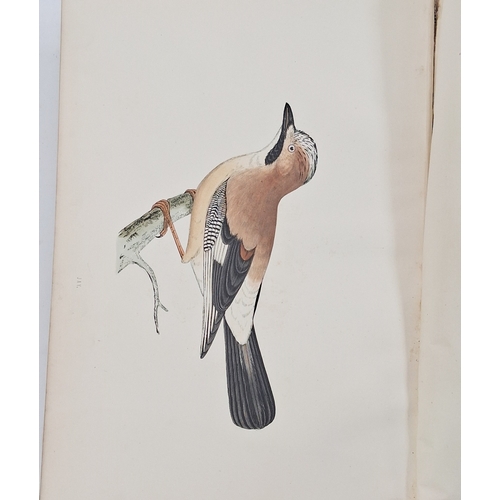 73 - Morris, Reverend F. O. 