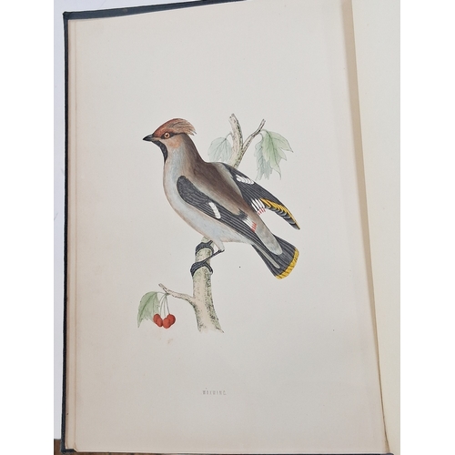 73 - Morris, Reverend F. O. 