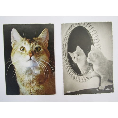 88 - Quantity of early 20th century and later postcards, mostly topographical interest, most in albums, i... 