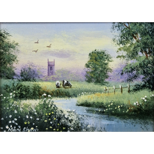 387 - Mary Shaw (b.1955)
 Oil on board
 Pastoral scene, cows in a field with church in distance, signed lo... 