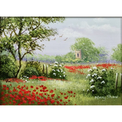 387 - Mary Shaw (b.1955)
 Oil on board
 Pastoral scene, cows in a field with church in distance, signed lo... 