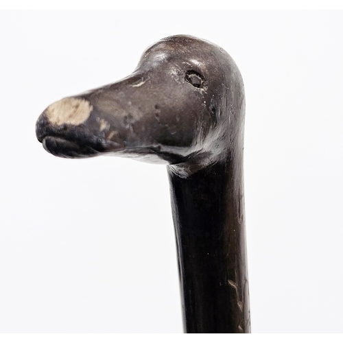 119 - Boar War prisoner of war walking stick, the handle carved in the form of a seals head and etched to ... 