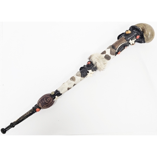 166 - Ethnographic ritual short staff constructed from natural materials including a large snailshell fini... 