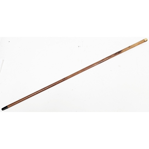 167 - Early 20th century gold-mounted walking cane, circa 1909, the malacca shaft capped in 18ct gold and ... 