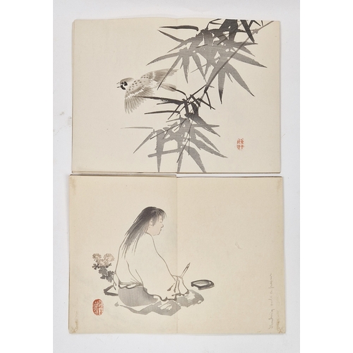 115 - Two Japanese Meiji period Ministry of Education art books for middle and high school, with fold out ... 