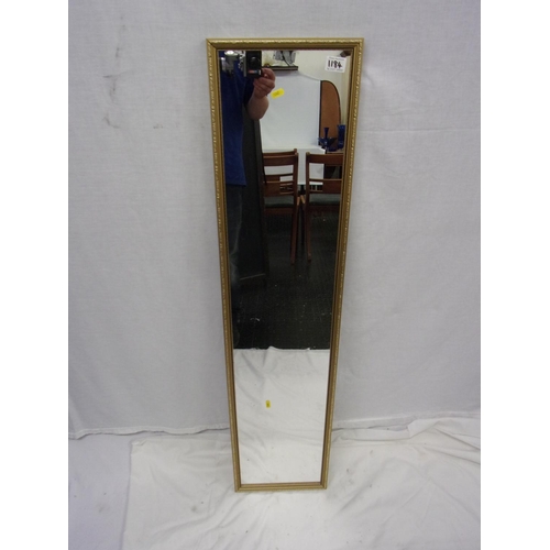 1184 - Full length mirror