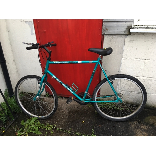 71D - Raleigh Ascender bike