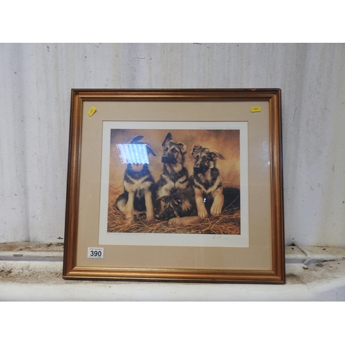 390 - Framed limited edition print - Dogs