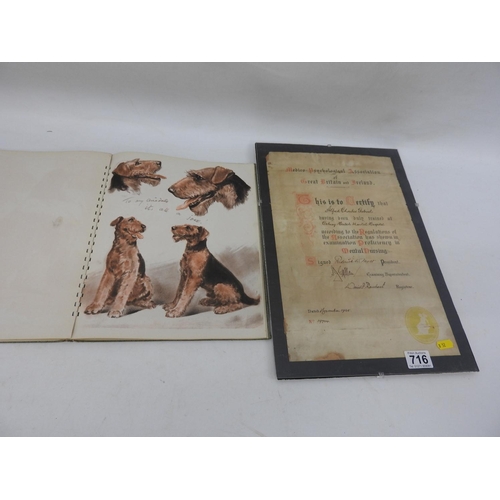 716 - Album of Diana Thorne dog drawings and a framed certificate