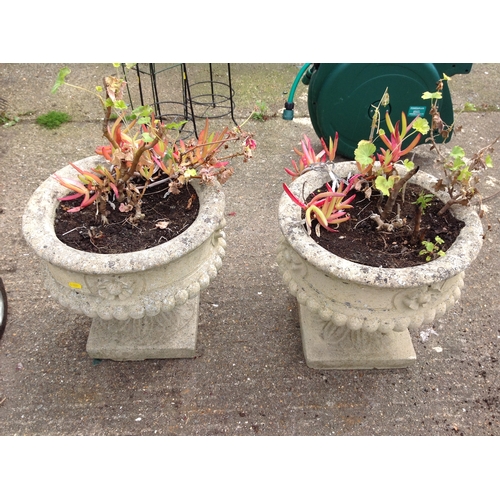 183T - 2x Concrete Circular Garden Planters with Plants 15