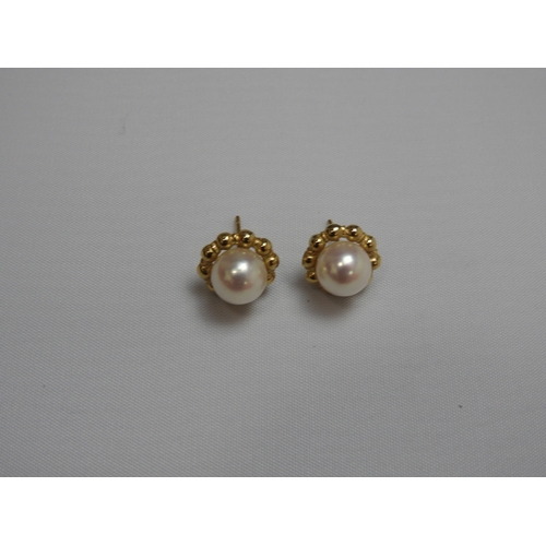 46 - Gold Cultured Pearl Earrings