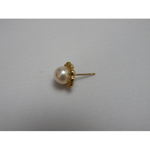 46 - Gold Cultured Pearl Earrings