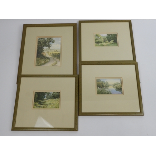 608 - 4x Framed Watercolours - Signed Sue Goodchild