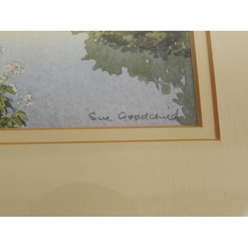 608 - 4x Framed Watercolours - Signed Sue Goodchild