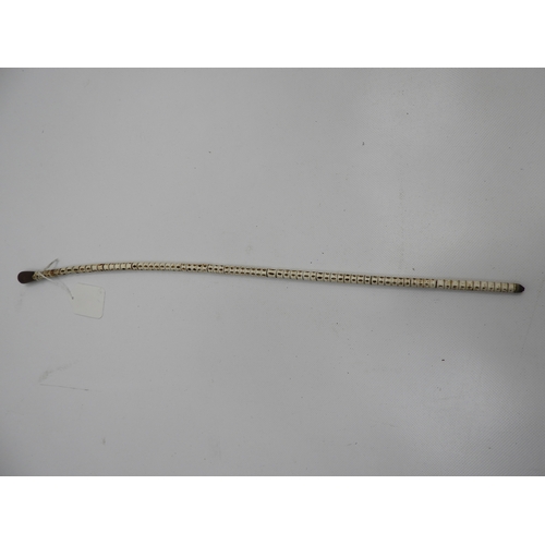 482 - Fish Spine Swagger Stick