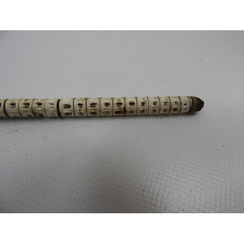 482 - Fish Spine Swagger Stick