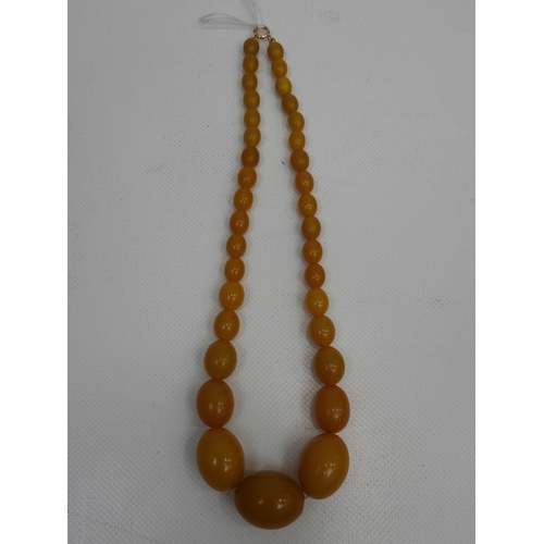 260 - Amber Necklace with Gold Clasp