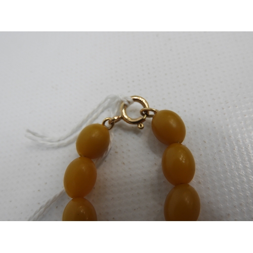 260 - Amber Necklace with Gold Clasp