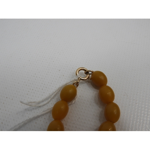 260 - Amber Necklace with Gold Clasp