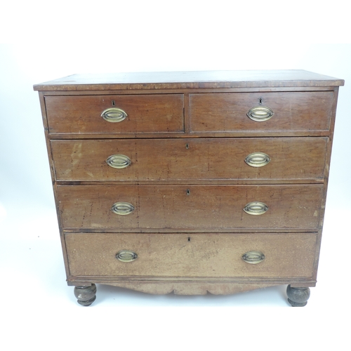 601 - Victorian Mahogany Two over Three Chest of Drawers