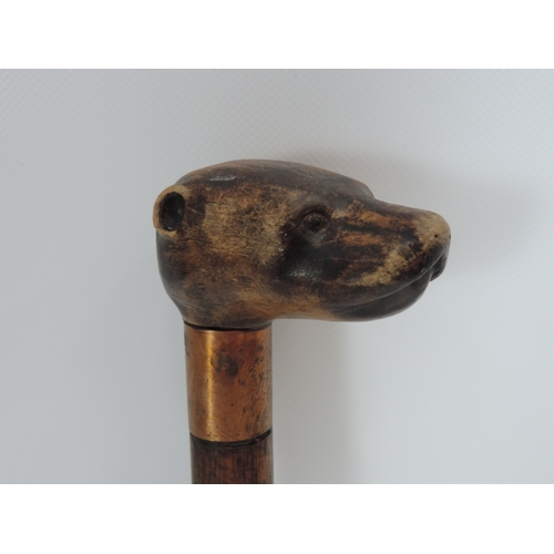 567 - Walking Cane with Carved Otters Head Top