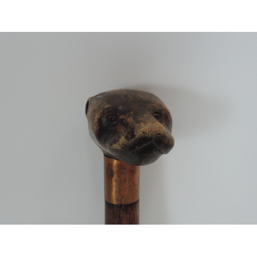 567 - Walking Cane with Carved Otters Head Top