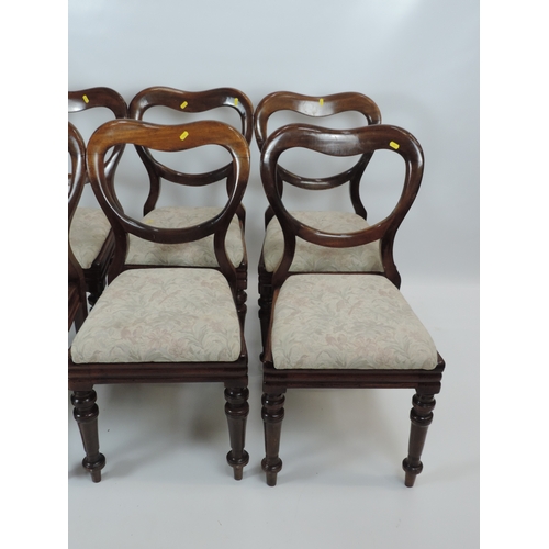 624 - Set of 6x Victorian Mahogany Balloon Back Dining Chairs