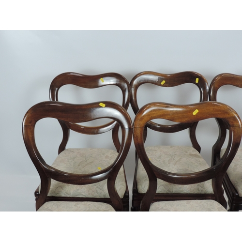 624 - Set of 6x Victorian Mahogany Balloon Back Dining Chairs