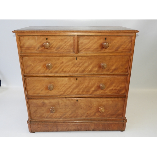 634 - Victorian Satin Birch Two over Three Chest of Drawers with Original Turned Handles