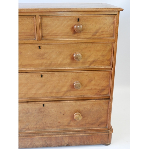 634 - Victorian Satin Birch Two over Three Chest of Drawers with Original Turned Handles