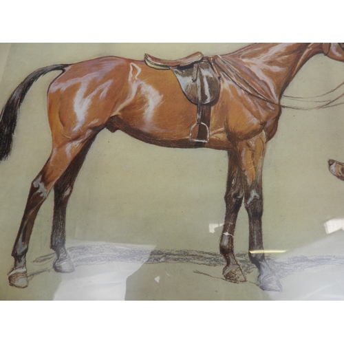 485 - Framed Print - Horse and Hunting Dogs
Cecil Aldin