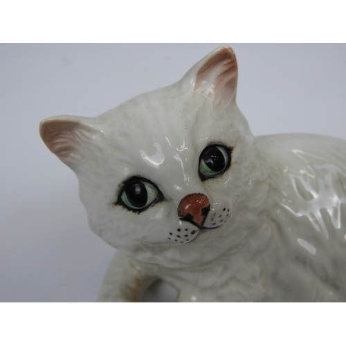 503 - White Beswick Cat