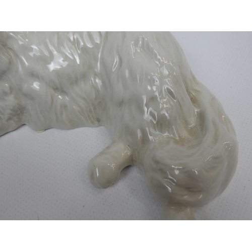 503 - White Beswick Cat