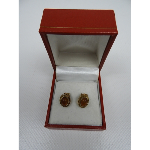 216 - 9ct Gold Amber Stud Earrings