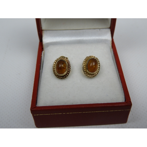 216 - 9ct Gold Amber Stud Earrings