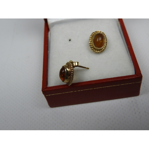 216 - 9ct Gold Amber Stud Earrings