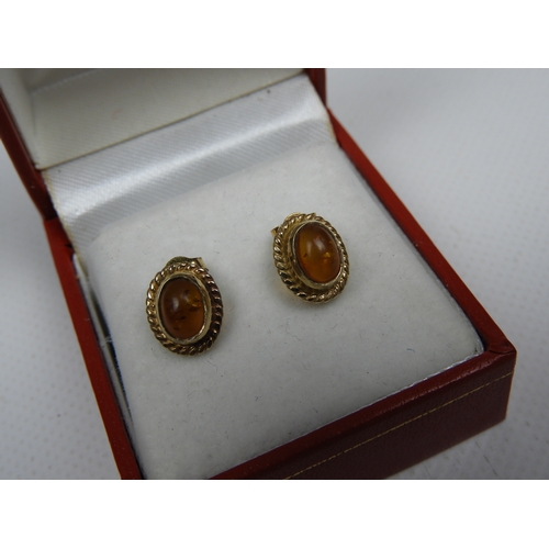 216 - 9ct Gold Amber Stud Earrings