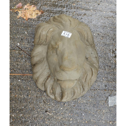 210 - Concrete Garden Lion Mask