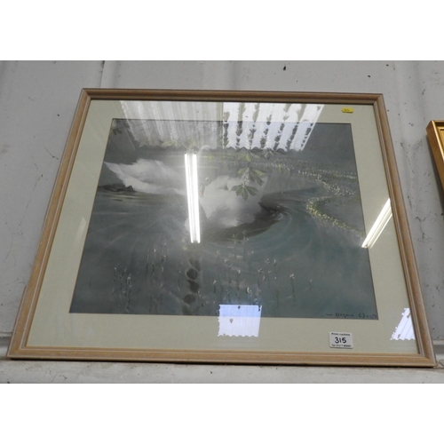 315 - Framed Print - Swans