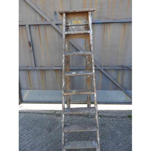 55 - Wooden Ladders