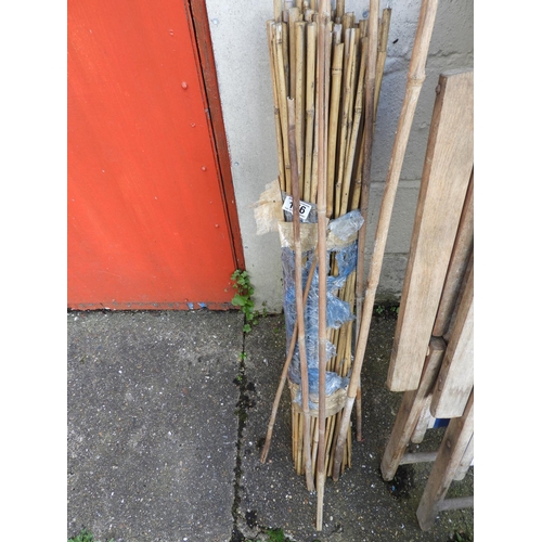 156 - Quantity of Bamboo Growing Canes